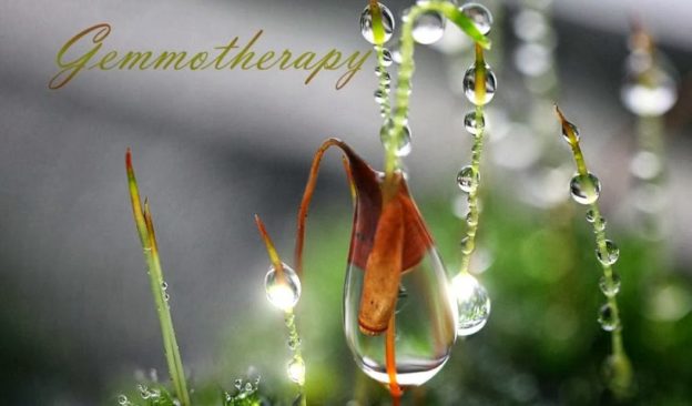 Gemotherapy